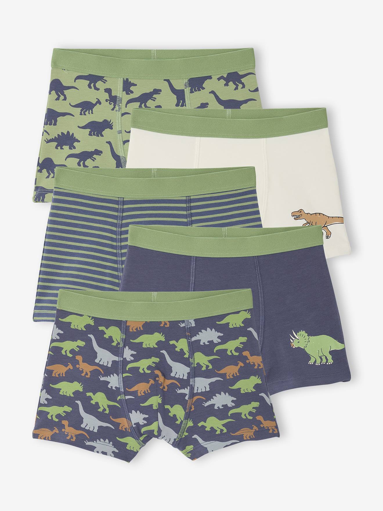 Vertbaudet Set Van 5 Boxershorts Voor Jongens Met Dinosaurussen Leiblauw