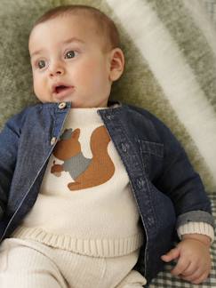 Baby-T-shirt, coltrui-Coltrui-Hemd babypakje in denim