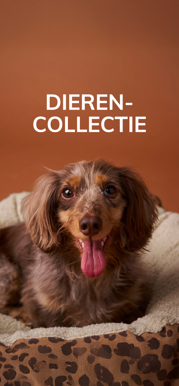 Dierencollectie